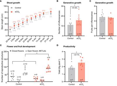 Adaptive responses to elevated CO2 in fruit species with different phloem loading mechanisms